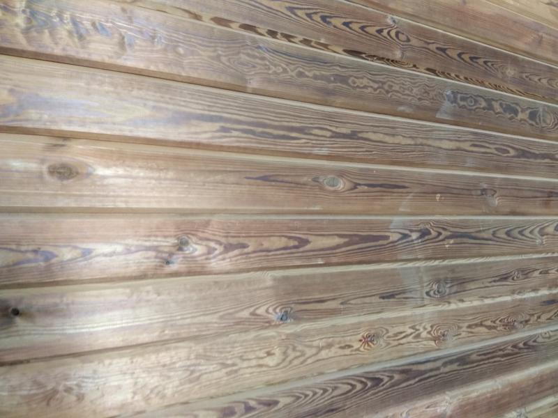 Термодошка, термодерево, термососна