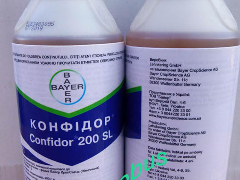 Конфидор инсектицид