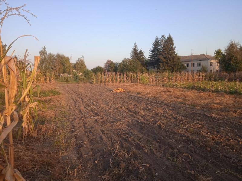 Продам земельну ділянку